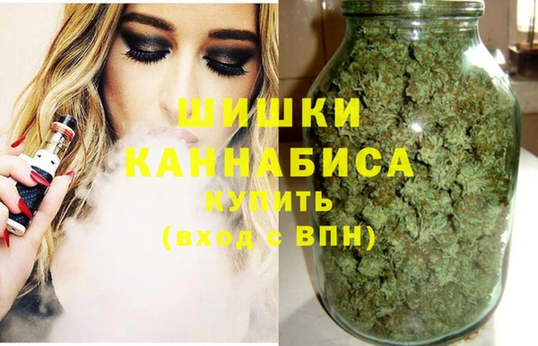 тгк Нея